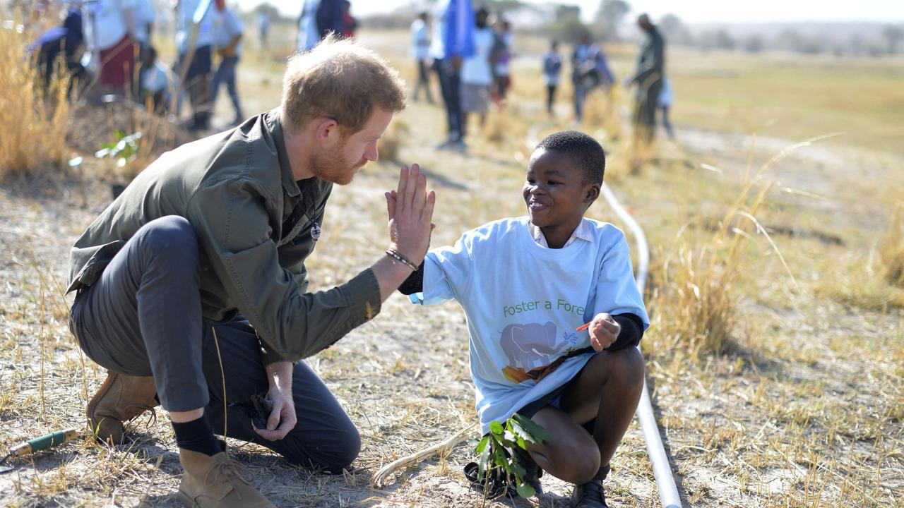 Prince Harry, the Duke of Sussex, helps local schoolchildren plant trees at the Chobe Tree Reserve in Botswana. Picture: Dominic Lipinski/Getty Images