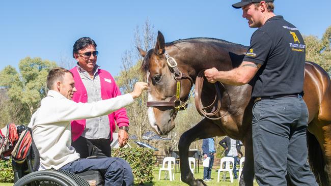 Tye Angland says hello to horse Trapeze who he rode to some of his greatest victories, with owner Bert Vierira by his side. Trapese recognised him instantly. Picture: Sharon Lee Chapman