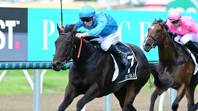 Jockey Tommy Berry rode O’Ole to victory in the Magic Millions 2YO Classic. Picture: Grant Peters/Trackside Photography