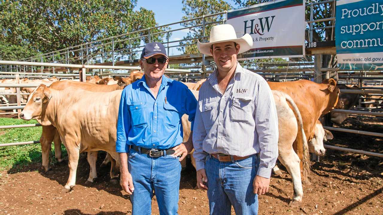 Beefed up for annual expo in the Central Highlands | The Courier Mail