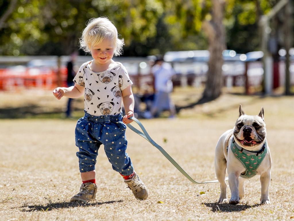 Aurelia Primus, 2, with Hugo at Paws at the Park held at Mudgeeraba showground on Sunday. Picture: Jerad Williams