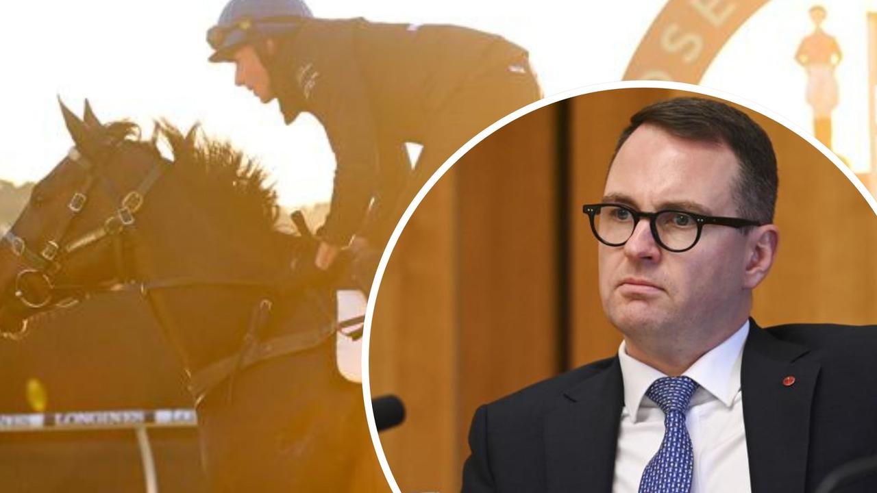 Rosehill failure: Opposition threatens to bring out the ‘stick’