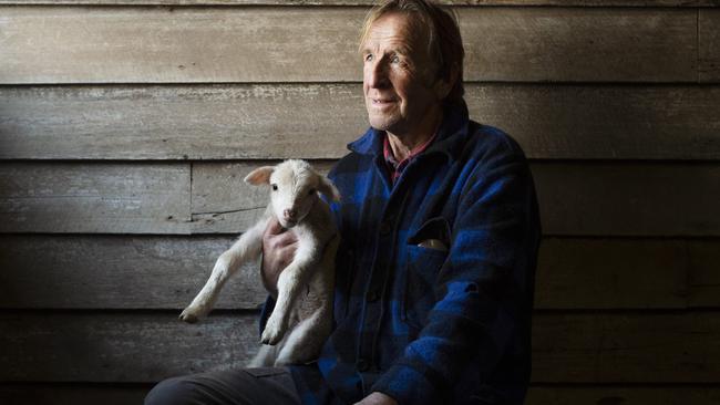 Greg Muir, of Lauriston, has spent his life in the shearing sheds and running his own sheep. Picture: Zoe Phillips