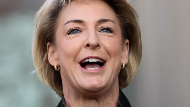 Employment Minister Michaelia Cash during a press conference at Parliament House in Canberra. Picture: Gary Ramage