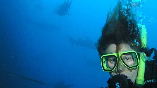 Macgregor snorkelling with endangered grey nurse sharks.