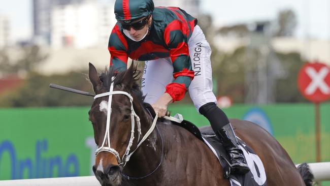 After a solid first-up second placing, Yiyi is ready to go one better at Rosehill on Saturday. Picture: Getty Images