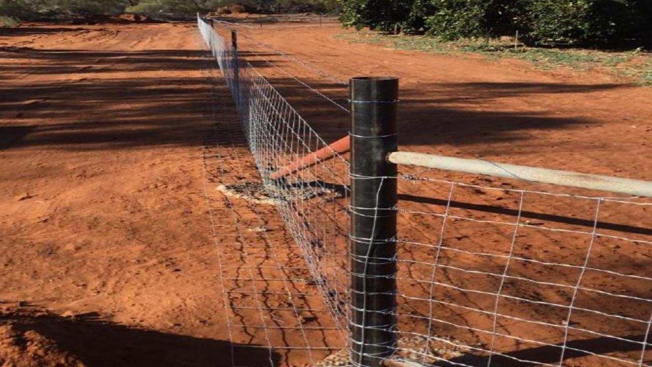 30km Fence In Nsw Southwest To Stop Feral Pigs 