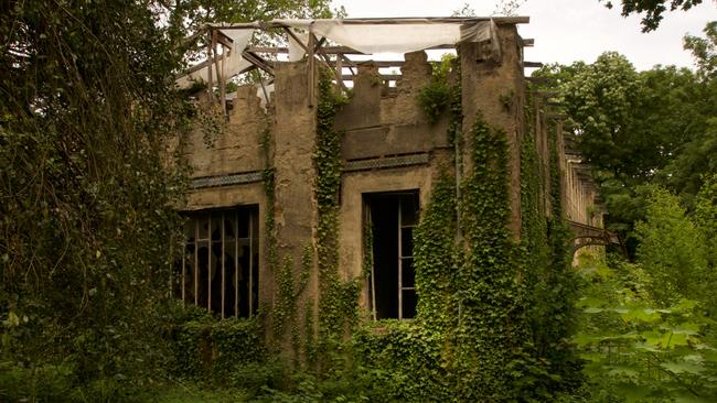 The eerie remains of the Jardin d’Agronomie Tropicale. Picture: Seph Lawless