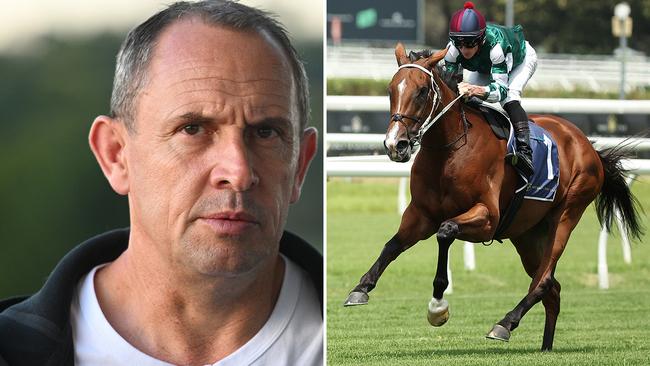 Trainer Chris Waller speaks to reporters at Flemington on Friday ahead of Via Sistina's second-up run in the Group 1 Verry Elleegant Stakes at Royal Randwick on Saturday. Picture: Vince Caligiuri / Getty Images