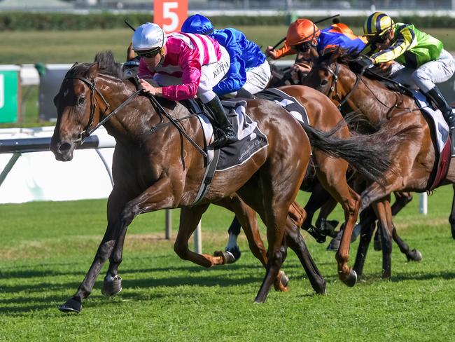 Dixie Blossoms wins the Guy Walter Proven Thoroughbreds Stakes on Chipping Norton Stakes Day. Picture: AAP