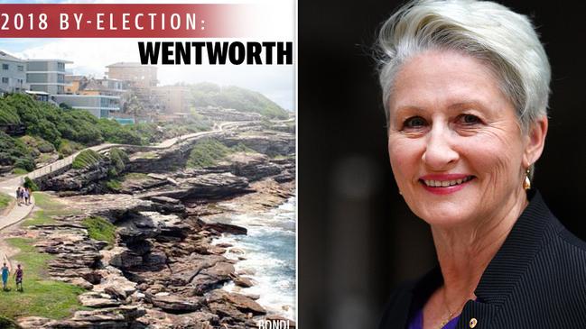 Independent candidate Dr Kerryn Phelps says climate change is real and climate deniers are this generation’s flat-earthers.