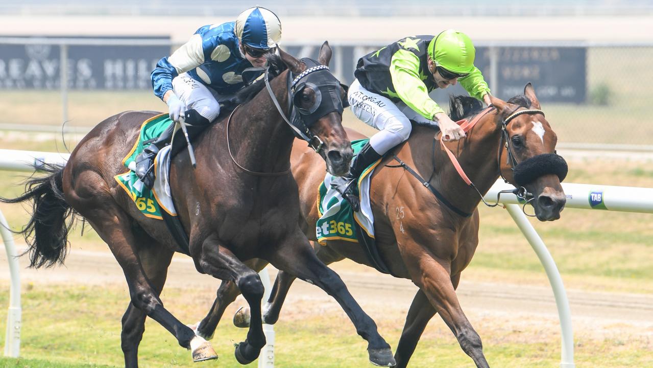 Photo gallery: Jack Hirsch Memorial Yarra Valley Cup Day