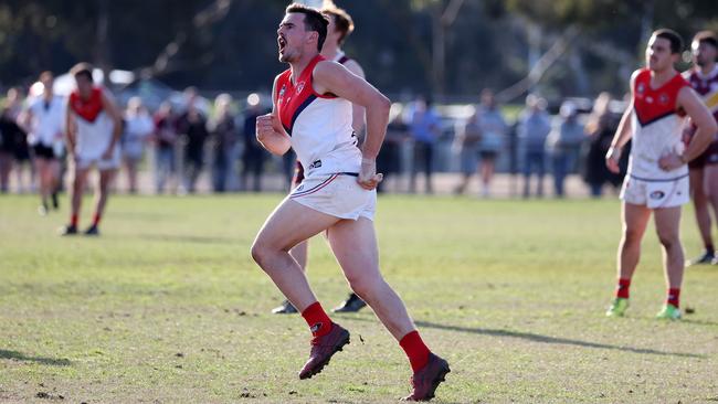 Ryan Pingree celebrates a goal for Diamond Creek. Picture: George Sal