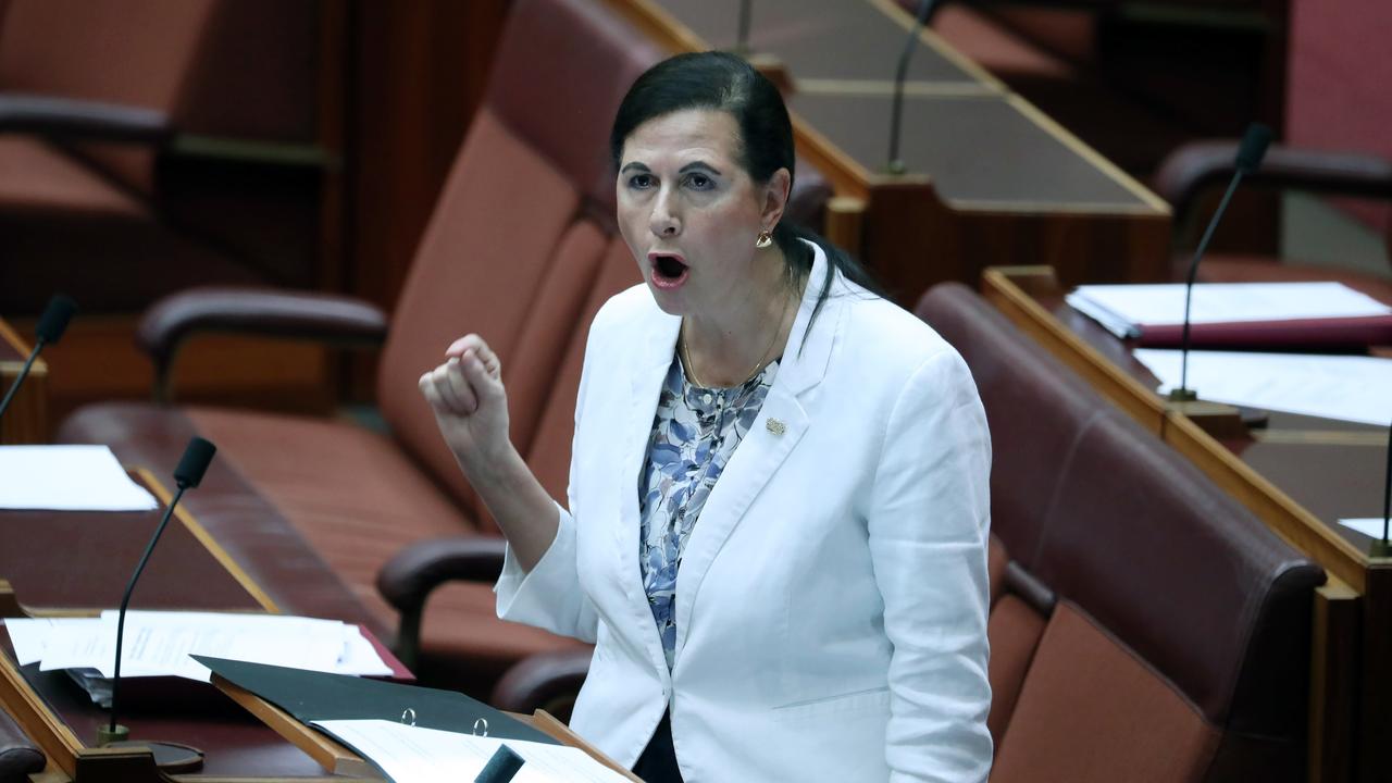 Senator Concetta Fierravanti-Wells in action in the Senate. Picture: Gary Ramage