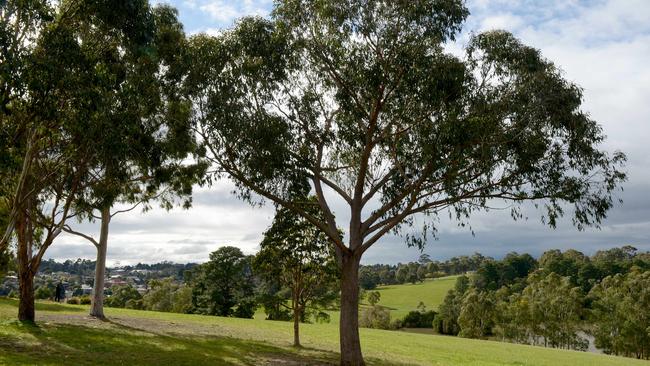 Botanic Hill at Ruffey Lake Park, Doncaster.