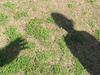 ‘Goose could be cooked’: Alleged child abuser’s nervous DNA wait