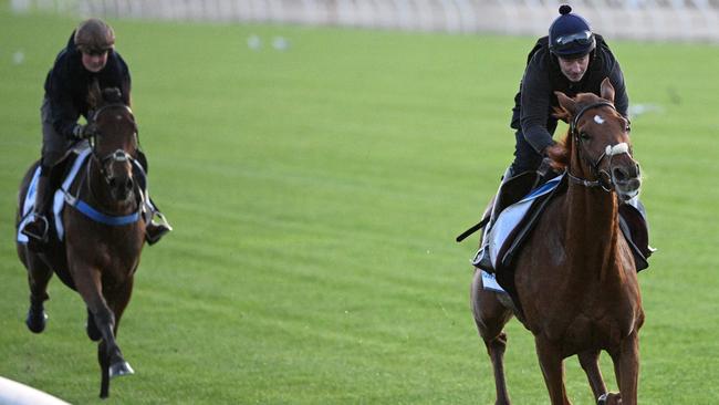 Vauban puts a space on Absurde at Flemington trackwork on Tuesday morning.