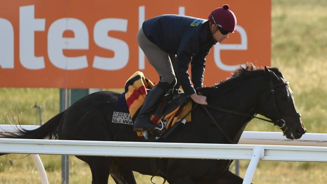 **RE-TRANSMISSION OF IMAGE ID: 20181104001369767128 TO CORRECT SPELLING OF NAME AIDAN (NOT AIDEN)** The Aidan O'Brien trained Cliffsofmoher during track work at Werribee Racecourse, Melbourne, Sunday, November 4, 2018. (AAP Image/James Ross) NO ARCHIVING