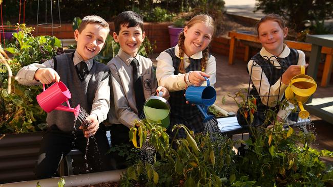 Noah Cummins, 10, Luca McClintock 10, Olive Alley, 8 and Jaida Power-Jones, 10, from St Paul the Apostle Primary School, Winston Hills.