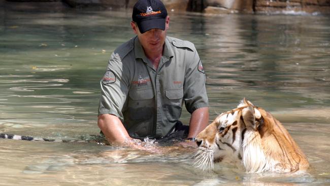 Rama and trainer Simon Murray keeping cool on Tiger Island at Dreamworld. Pic: Kit de Guymer