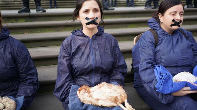 Vegan activists have taken to the steps of the Victorian parliament holding dead animals in protest of controversial new farm trespass laws. Picture: Supplied