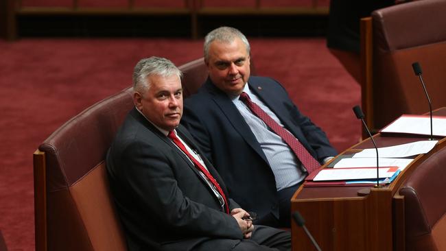 Senator Rex Patrick and Senator Stirling Griff in the Senate Chamber. Picture Kym Smith