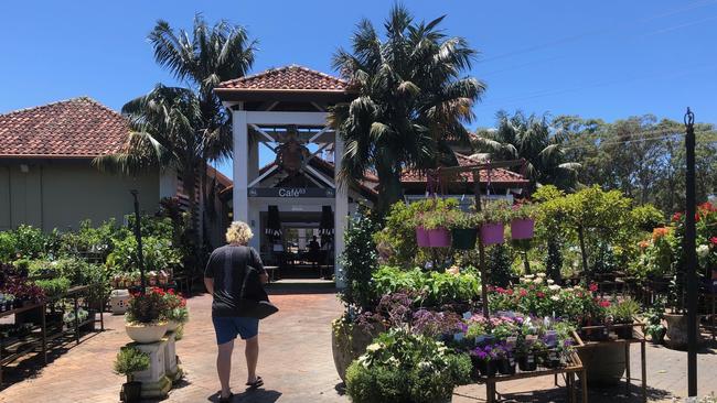 At the Ross Evans Garden Centre, Runaway Bay, Gold Coast. Picture: Amanda Robbemond