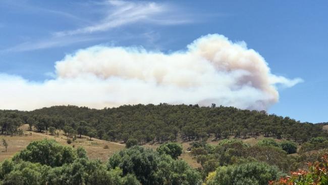 Smoke from the Taralga fire looks like a giant merino sheep. Picture: Warren Brown