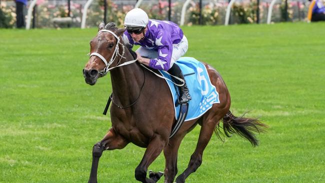 Glen Boss is surprised Aeliana is the Thousand Guineas favourite. Picture: George Sal/Racing Photos via Getty Images