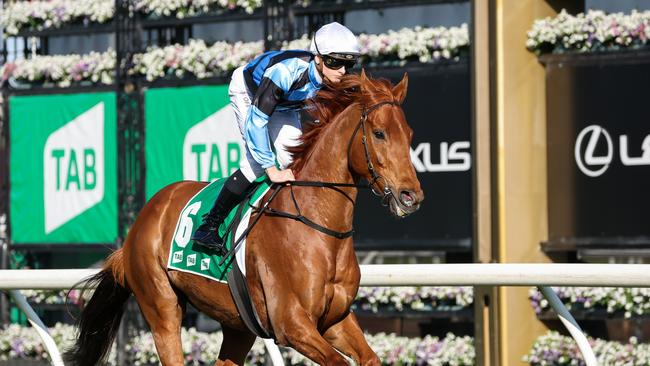 Turnbull Stakes winner Smokin’ Romans ticks a lot of boxes in the Caulfield Cup. Picture: Racing Photos via Getty Images