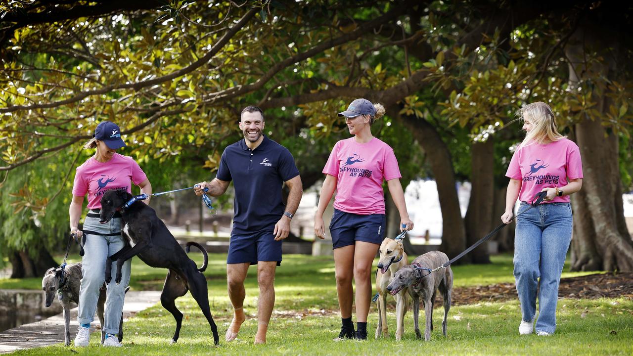 Roosters captain James Tedesco with four retired greyhounds ahead of National Greyhound Adoption Day. Picture: Sam Ruttyn