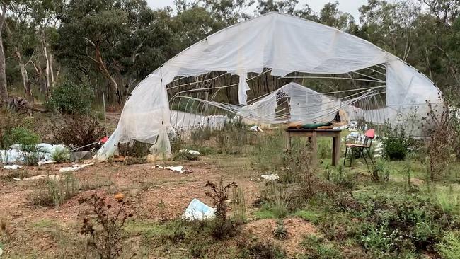 Mr Wong was responsible for growing cannabis plants in greenhouses before his death. Picture: NSW Police