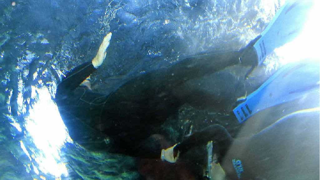 WATER WORLD: Leukaemia patient Colby Speare was thrilled to spend an early birthday swimming with the sharks at Sea Life Mooloolaba. Head diver Ade Lynch leads Colby around the tank. Picture: Pete Evans