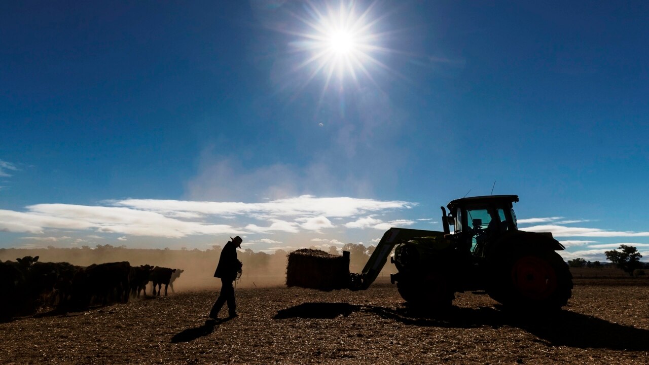 Impossible to talk about drought without addressing climate change: Fitzgibbon