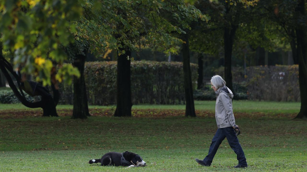 The South Burnett Council voted unanimously for land to be set aside for a new dog park in Murgon. (Photo by Sean Gallup/Getty Images)