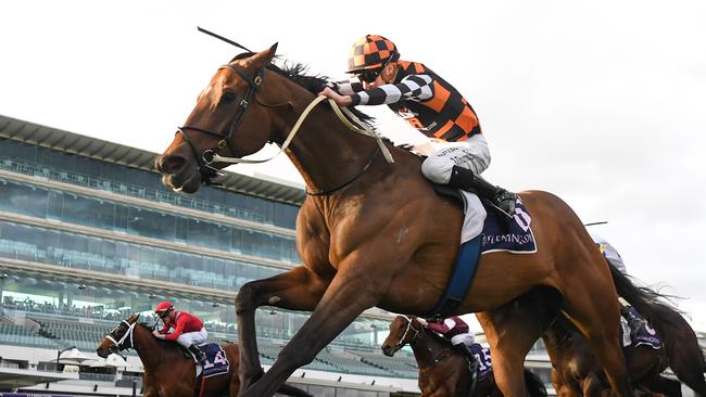 The Astrologist in full flight at Flemington. Picture: Pat Scala–Racing Photos via Getty Images