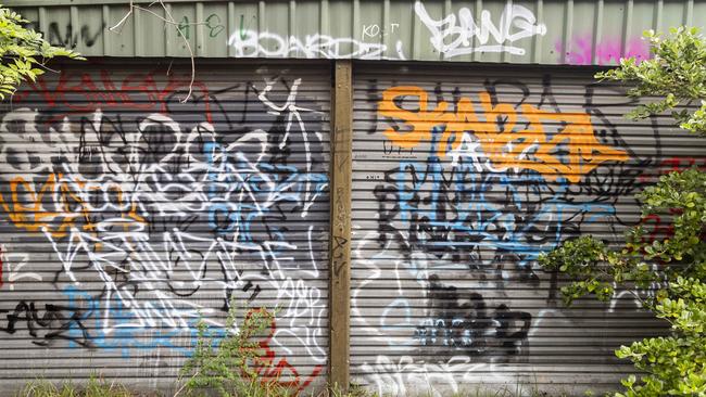 Graffiti tags are sprawled all over a shed in between the two of the properties. Photo: Daniel Pockett