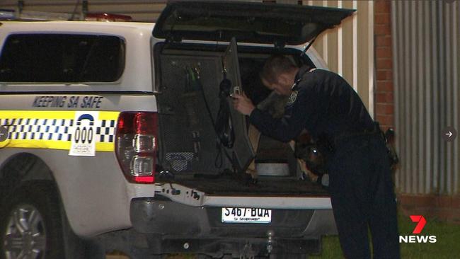 A police officer and patrol dog have been stabbed with a screwdriver in a violent altercation at Findon. Picture: 7News