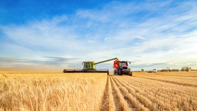 Harvesting machine approaching with the foreground of golden wheat.