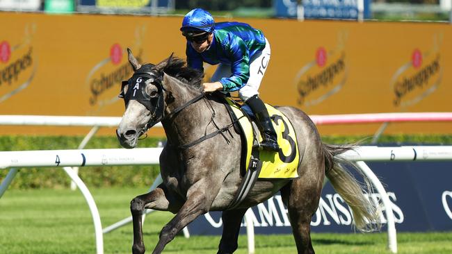 Alalcance scored a crushing win in the Chairman’s Quality at Randwick. Picture: Getty Images