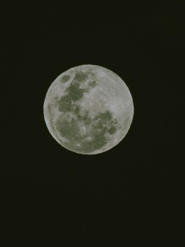 Hunter’s Moon the day of Ashtyn and Ben’s wedding. Picture: Bec Smart Photography