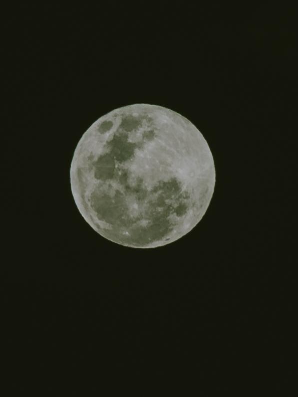 Hunter’s Moon the day of Ashtyn and Ben’s wedding. Picture: Bec Smart Photography
