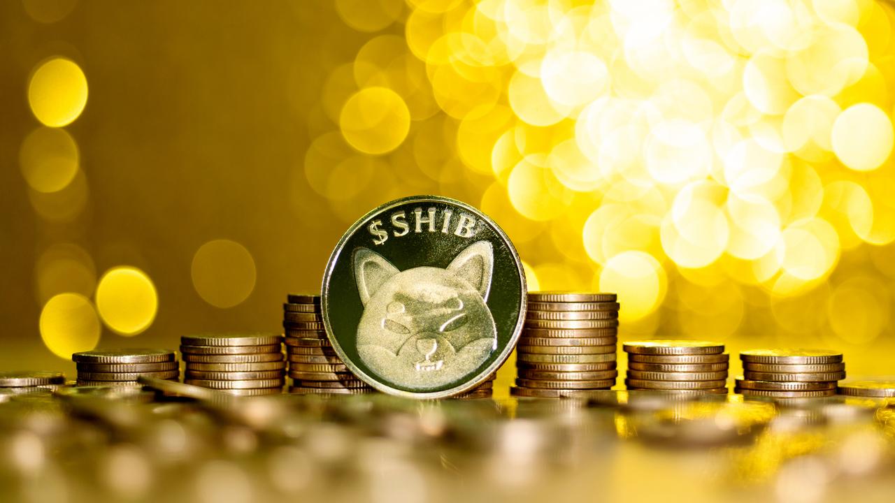 The price of Shiba Inu has risen sharply this week. Picture: iStock