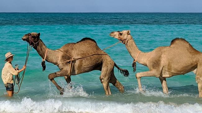 The trip mixed desert sands with sparkling seas.