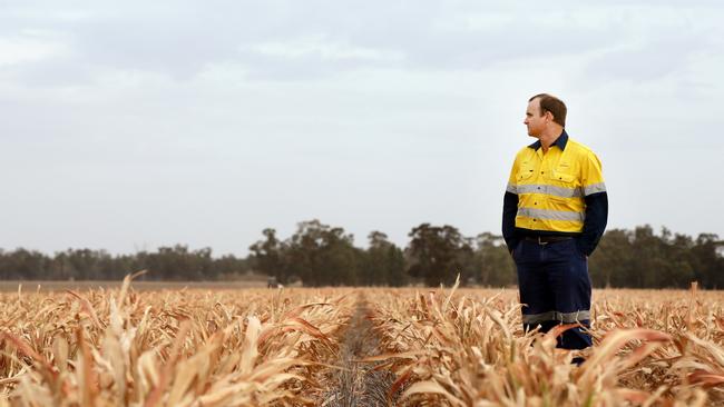 Farmer Bruce Watson on the family farm just outside of Forbes. Picture: Jonathan Ng