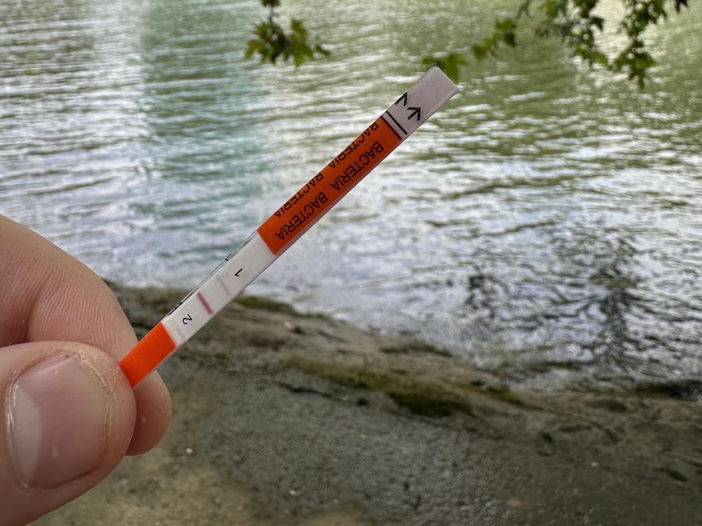 News Corp has tested the Seine in Paris to see if it's clean enough to host the outdoor swimming events at the Paris Olympics.