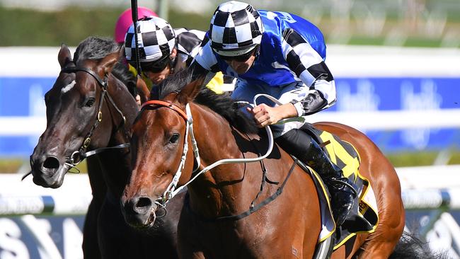 Raheen House stormed into contention for the Sydney Cup after ending his win drought in the Chairman’s Qaulity. Picture: AAP