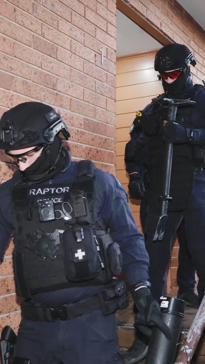 Cops make arrests in early morning raids