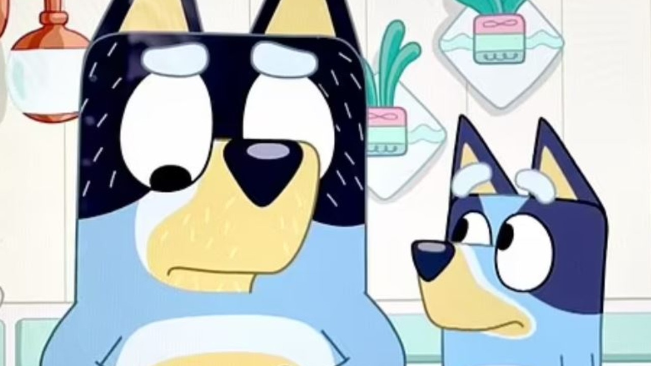 What Do Bluey's Parents Do For Work? Chilli & Bandit's Jobs Revealed