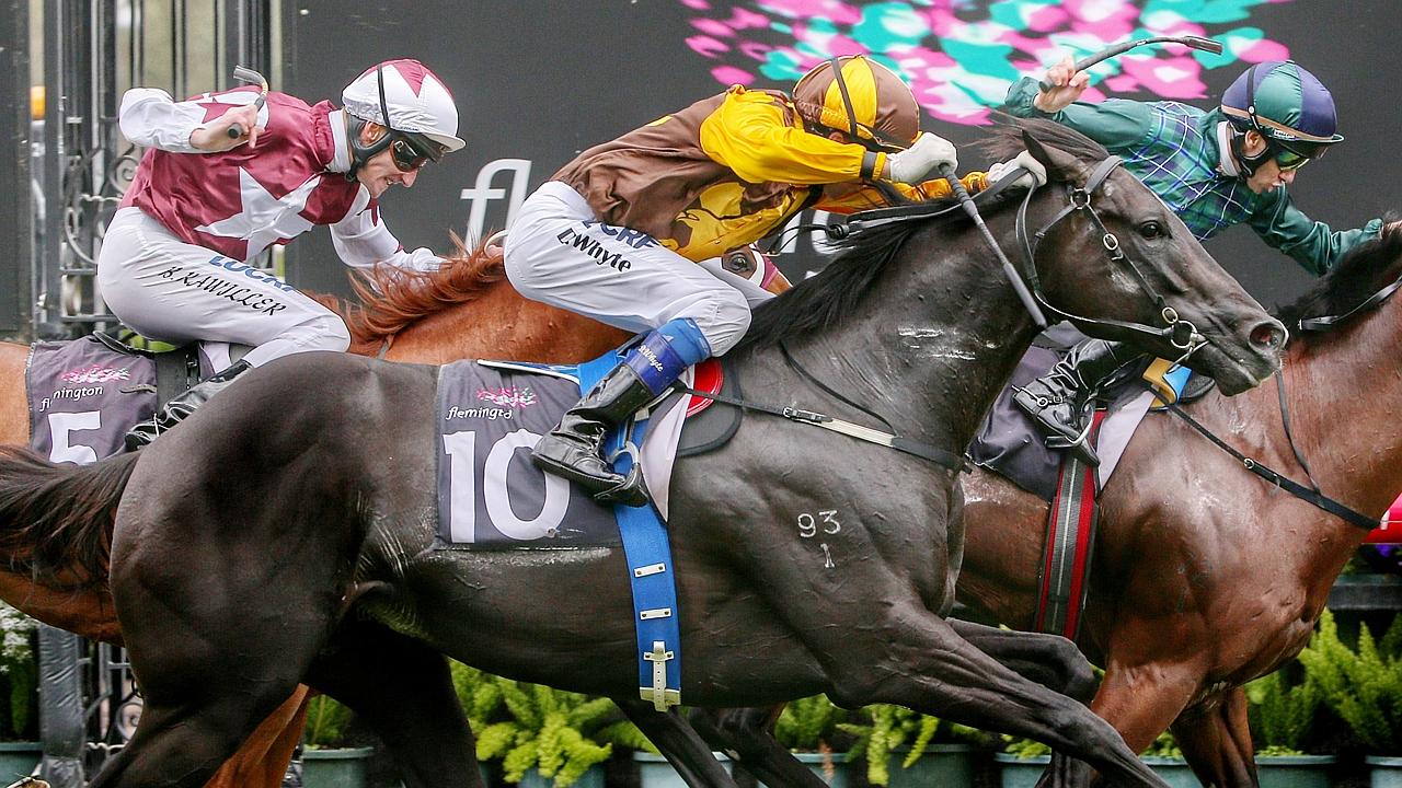 Trackwork Confidential things you need to know from around the tracks